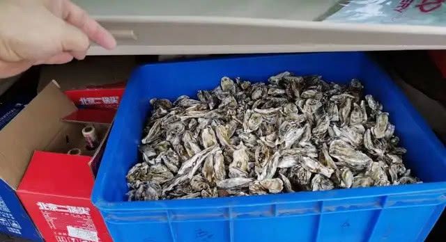 台风过后的青岛海边，捡海蛎子的市民一麻袋一麻袋的往家运