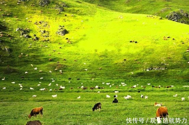 这里有碧草蓝天，这里有19度的夏天——乌蒙大草原