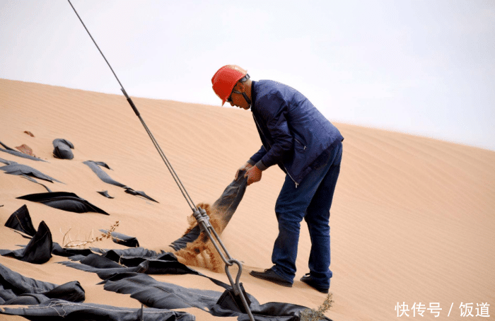  「我国」我国沙漠那么多，为何不用沙漠里的沙子来盖房？原因有