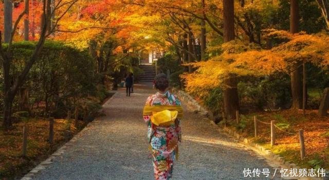 世界赏枫高阶指南｜日本与加拿大到底去哪一个