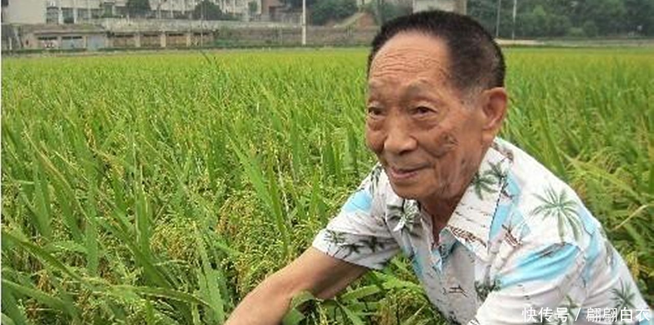  「补贴」袁隆平建议将石油补贴转给农民，粮食收购价提到2元，你