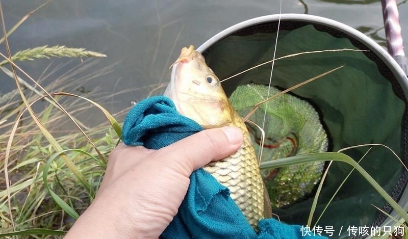 春季|春季钓鱼,熟记3钓3不钓,钓好鱼很轻松
