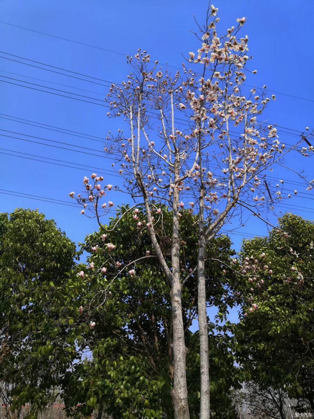 如何做好安全工作