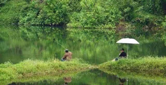  『鱼类』夏天气温高、气压低，钓鱼很难，教你5招，野钓不落空