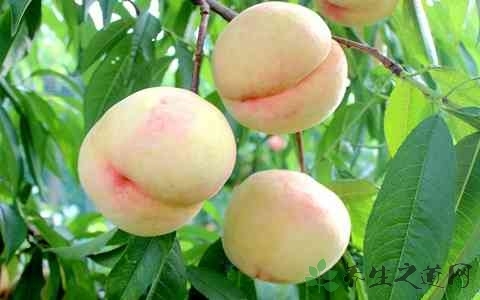 干性皮肤秋季如何保养