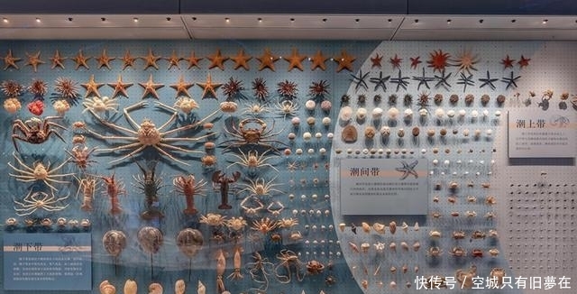 国家海洋博物馆值不值得去？来看看游客怎么说