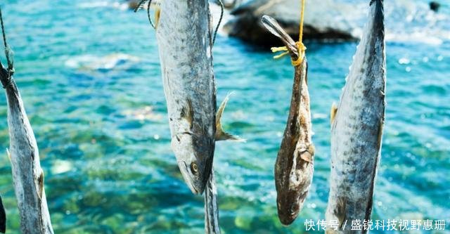 中国“马尔代夫”—庙湾，你喜欢的海水、阳光、沙滩、海鲜这都有