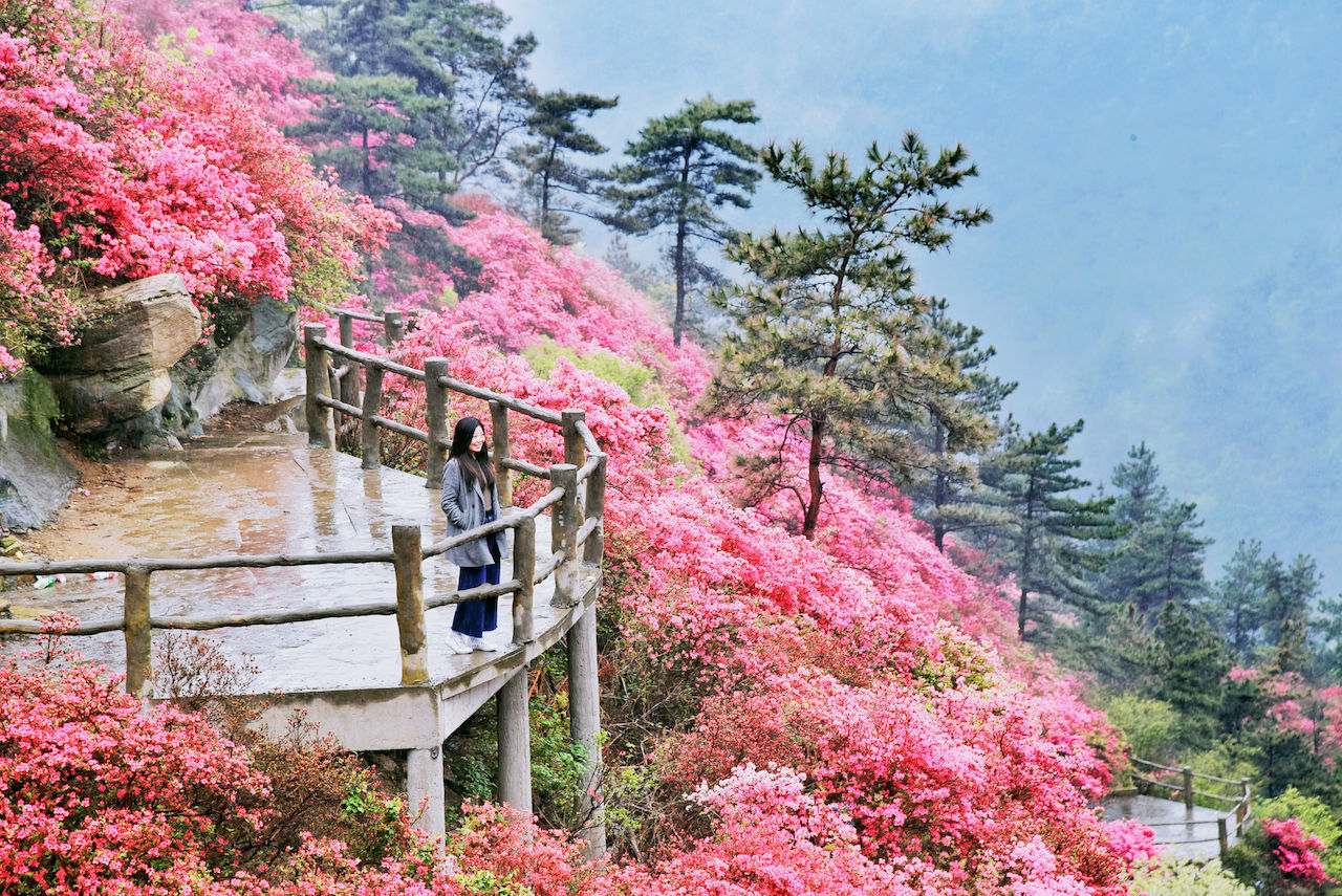 武汉周边游3??丨黄陂赏花和登山徒步，推荐这四个景区必须打卡