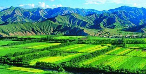 农村低保治理专项行动开始了，这几类农户将全部退出保障范围