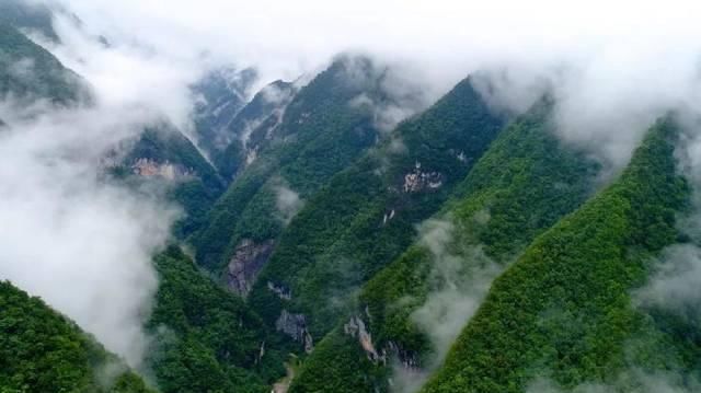 重庆主城最高峰是哪儿？缙云山？南山春天岭？你们都错了！