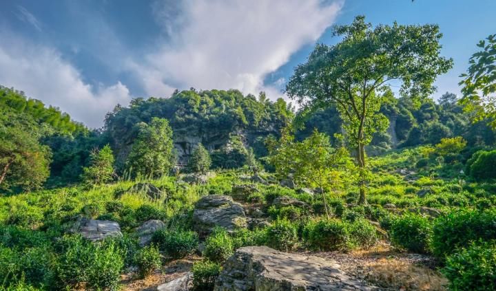 皖、浙两省交界处，有一个大裂谷处处断崖绝壁，藏有四“大”特色