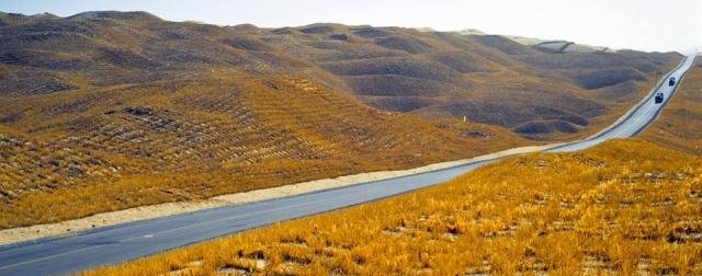 中国死亡之海修建一条致富路，堪称奇迹工程，20年绿化救活死海