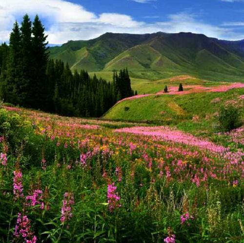 新疆有一个地方，回归时间比香港晚，被称为“中国最后一片净土”