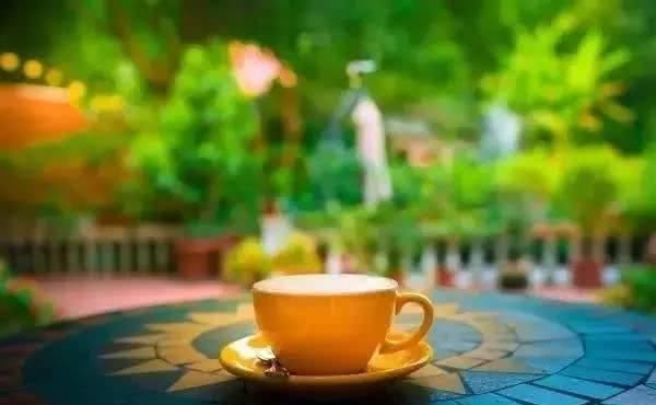 66岁大叔，8年时间打造出了中国最美私家花园，让人叹为观止！