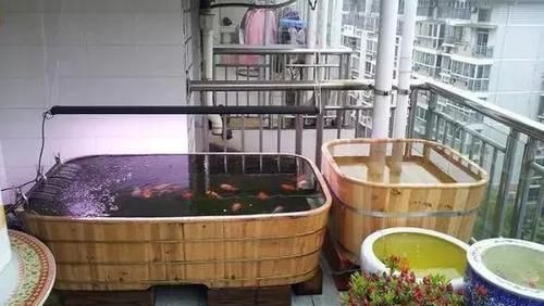  鱼缸：还在用鱼缸养鱼, 太难看了, 在阳台砌个鱼池漂亮又拉风!