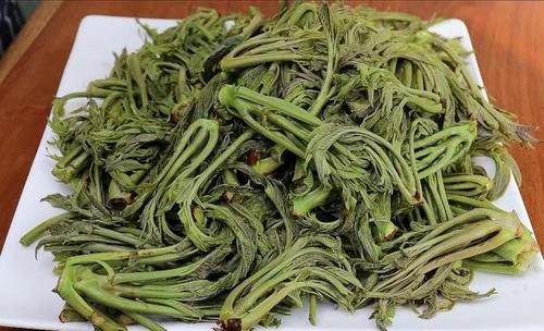  「把香椿」香椿正确的保存方法，方法超简单，随吃随取，和刚摘的一样鲜