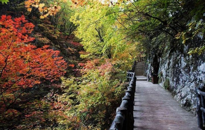 金寨燕子河大峡谷，国内最适合老人游玩的山岳景区