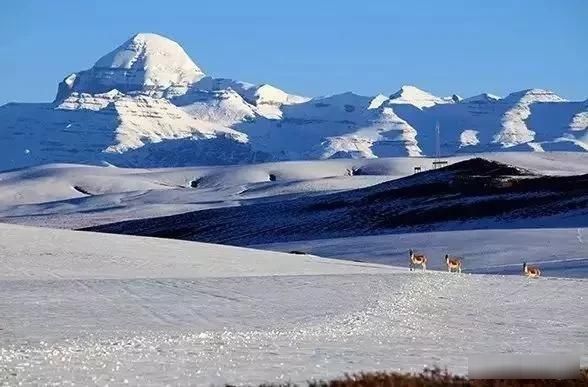  『绝美』中国神秘壮阔最美四大无人区，人迹罕至却景色绝美，你敢去吗？