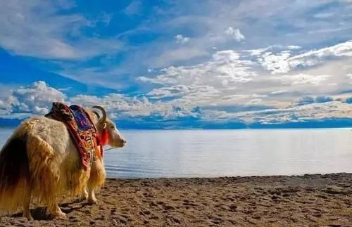 川藏线自驾游，这些事儿你需要了解