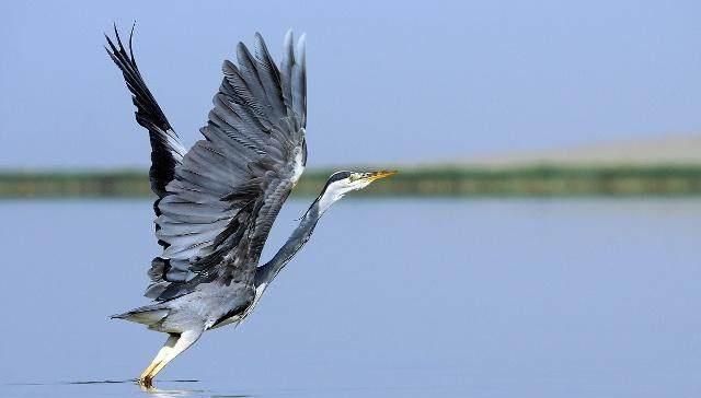 悲哀的摄影师与流氓摄影人