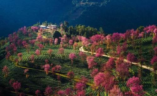  「物价」中国最适合过冬的省：美过海南，物价还低，来了就不想