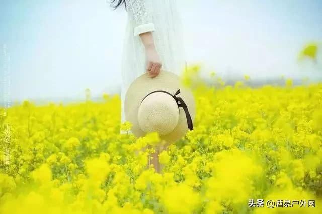 春天油菜花拍摄技巧