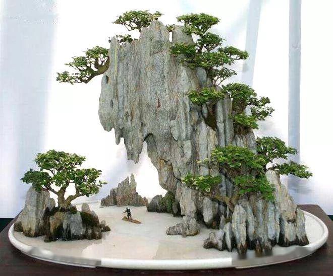  拆开：拆开山水盆景才恍然大悟，原来植物要这样才能固定在山石盆景！