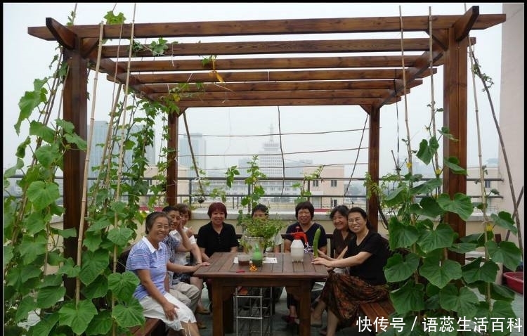 美国“屋顶农庄风”，会刮到中国吗？你们住房楼顶有吗