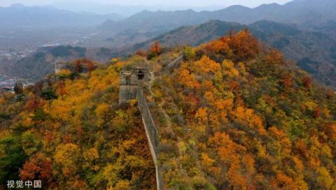  「视窗」视窗 | 黄花城古长城深秋景如画