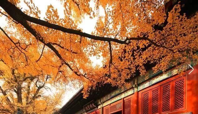 秋日里，山西20处绝美赏秋胜地美的像仙境