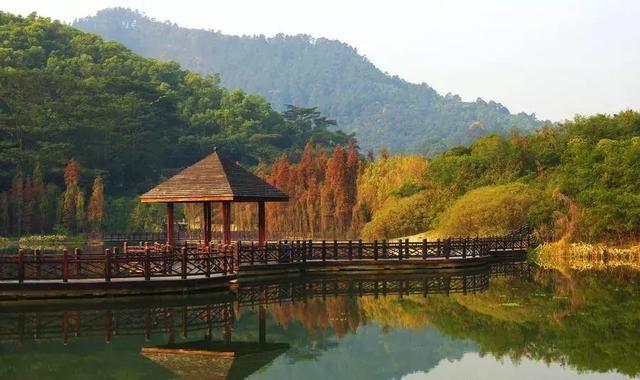 别老想着去日本拍红叶，中国这些地方的红叶也很好看