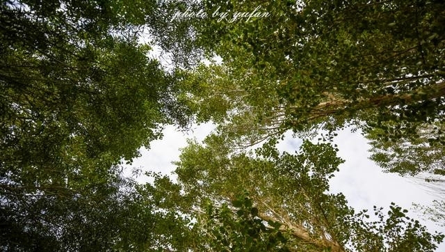 青海茫崖：柴达木盆地的奇迹之城，戈壁滩上的生命绿洲