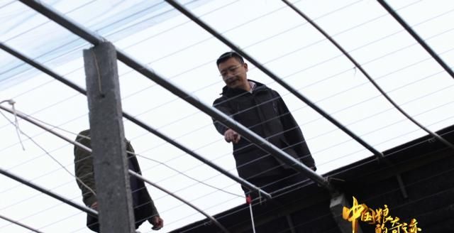  温室|全世界每3条养殖的鱼，就有2条来自中国!