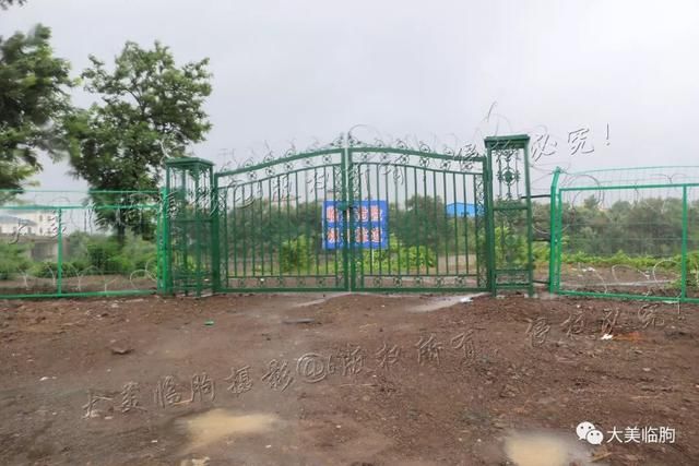 大雨来袭，从临朐县城到冶源水库所见