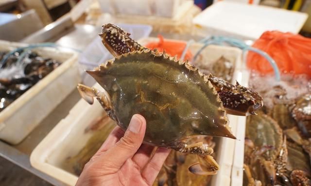 自驾走过广西广东海南，来到福建霞浦三沙，带你看看渔村海鲜价格