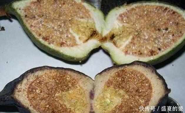 农村这种野果长得像芒果,咬一口会流出牛奶孕