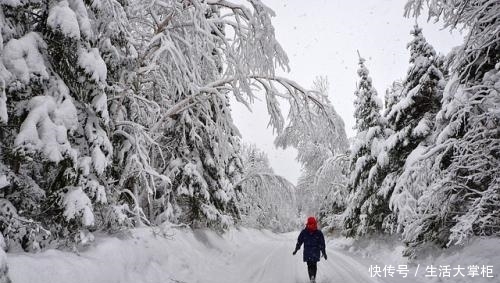 为什么你拍摄的雪景又黑又灰？别错过这个雪景拍摄方法，单反摄影