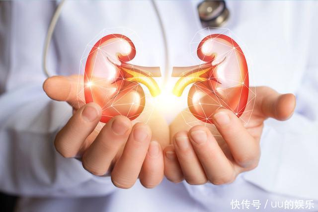  免疫复合物：A3无缘无故，为啥我的肾脏就病了