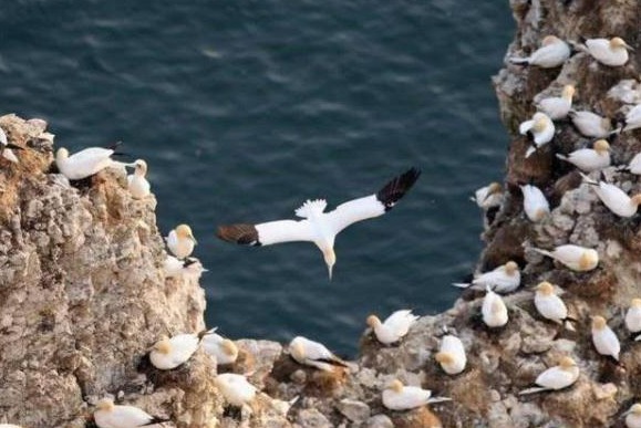世界上最特别的小岛，明明无人居住，可岛的海拔一年却升高3米！