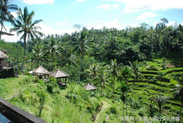巴厘岛必去的10大景点