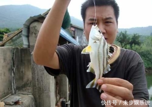  「黑色」这鱼沿海地区叫它“花身鸡鱼”体侧有3条成弓状的黑色纵带