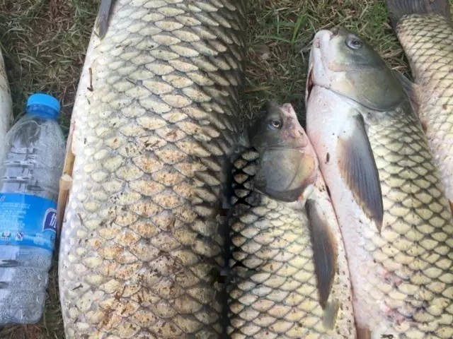  【禁忌】想博大物，饵料很关键，有这些禁忌不可不注意