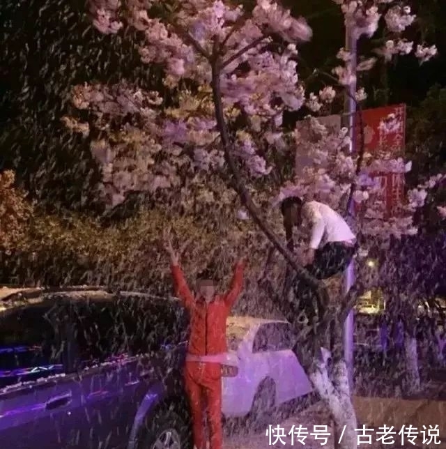 旅友们，请求你们，不要在劳动节游玩之时，在朋友圈发这种照片！