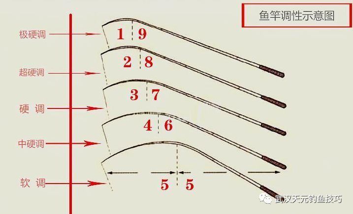  #春天#春天要想钓好鱼，这几点必须要牢记！