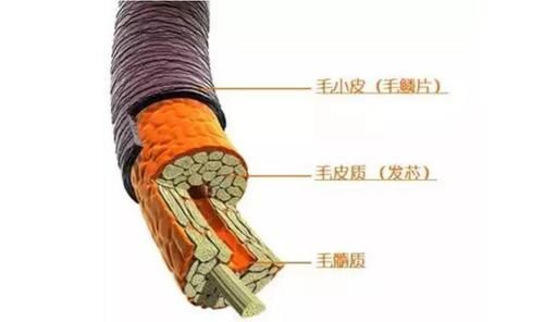  『脱发』脱发？发质干枯？头发问题多，听听专家怎么说