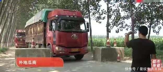 河南太康：西瓜丰收运不出，瓜农急得直跺脚，限高“封路”为哪般