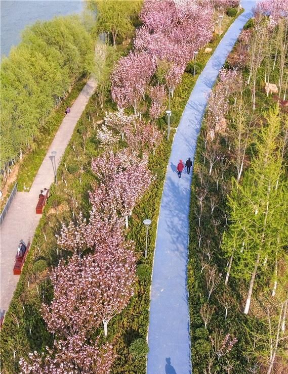  『土坡』“绽放”在春天里！济南小清河土坡河堤变身休闲公园