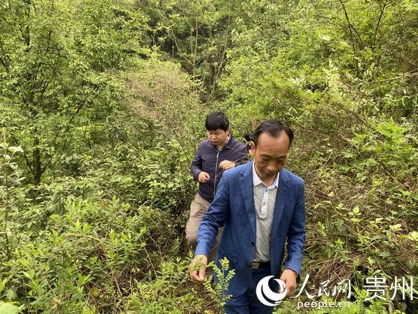  贵州■贵州水利：督战正当时 累并享受着