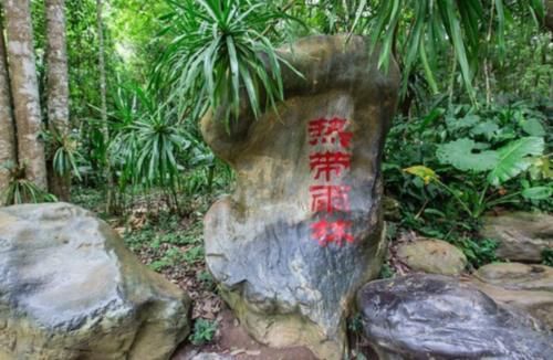 国内“神奇”植物王国，5A级旅游景区，物种丰富令人眼花缭乱！