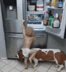  GIF@搞笑GIF趣图：肉嘟嘟的圆脸就是这么有搞头